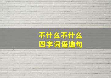 不什么不什么 四字词语造句